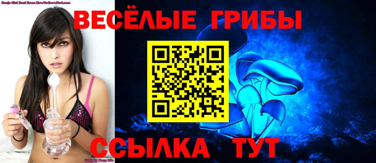 Псилоцибиновые грибы Psilocybe Лосино-Петровский