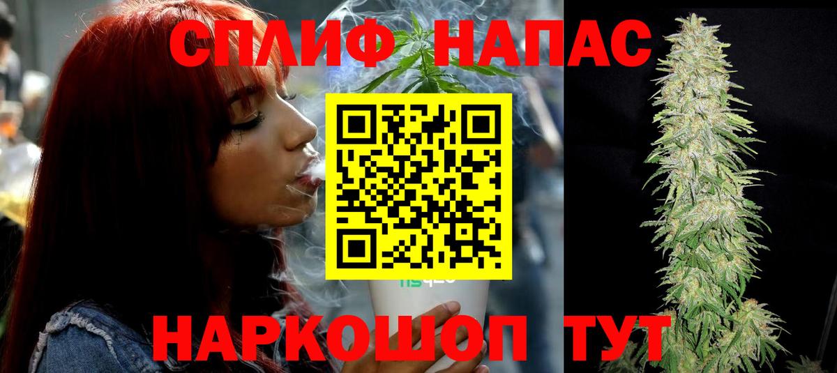 Каннабис план Лосино-Петровский